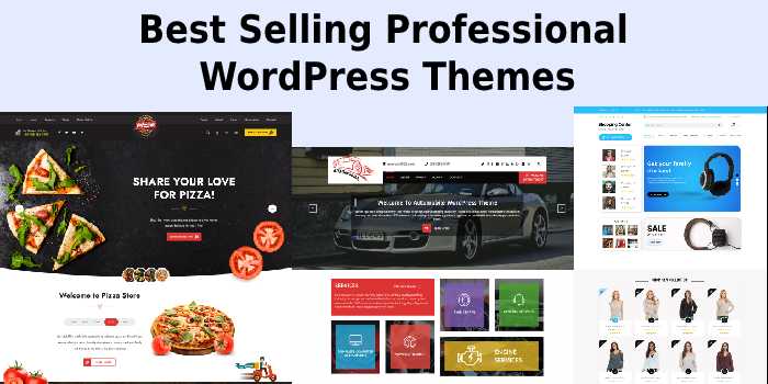 Best Selling Professional WordPress Themes for Quality Websites